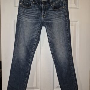 American Eagle Outfitters Dark Blue Ankle Jeans